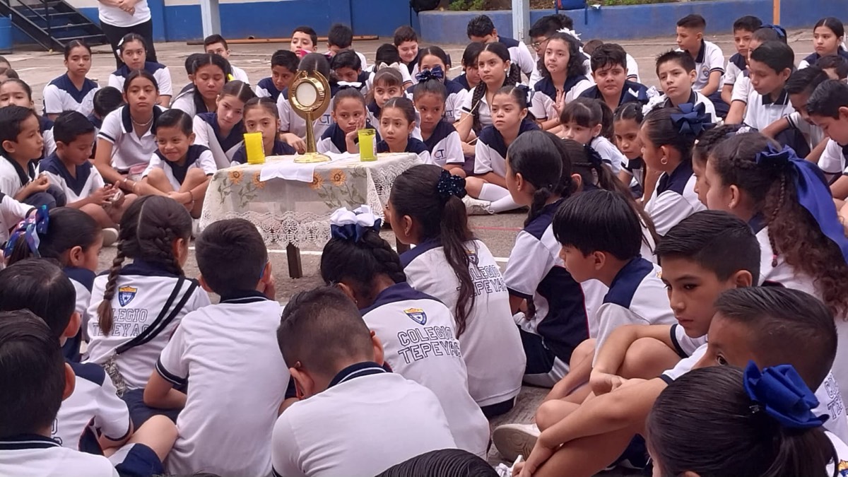 Actividad Colegio 20